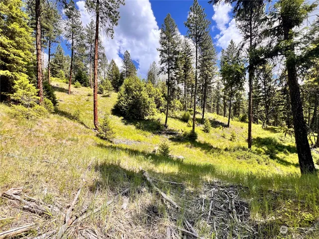 $99,900 | -tbd Old Kettle Falls Road, Republic, WA 99166