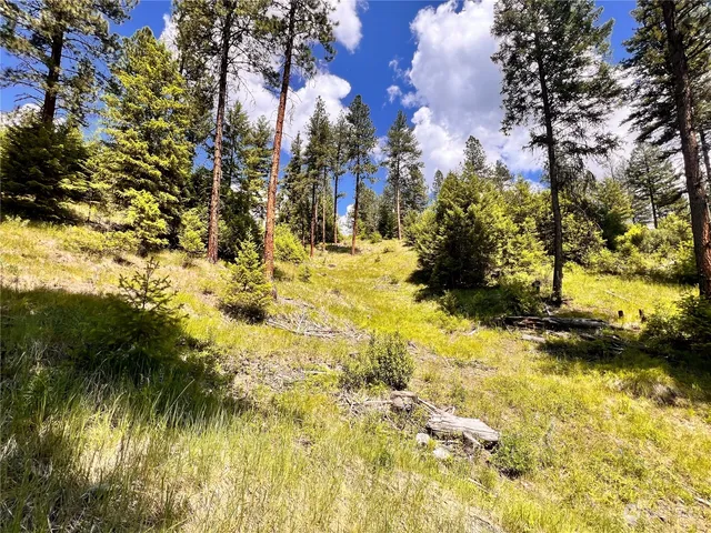 $99,900 | -tbd Old Kettle Falls Road, Republic, WA 99166
