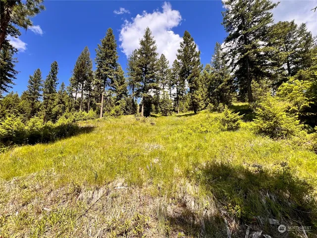 a view of swimming pool next to a yard