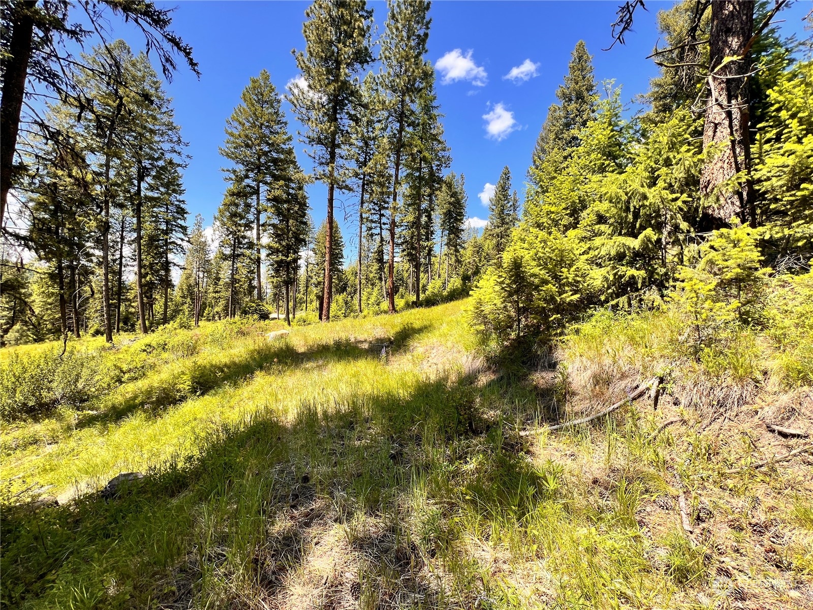 -tbd Old Kettle Falls Road Republic, WA 99166 - Photo 5 of 26 a view of swimming pool next to a yard