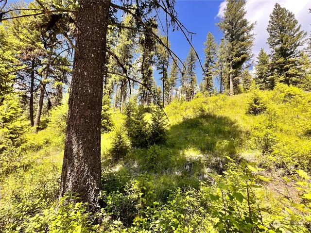a view of yard with swimming pool