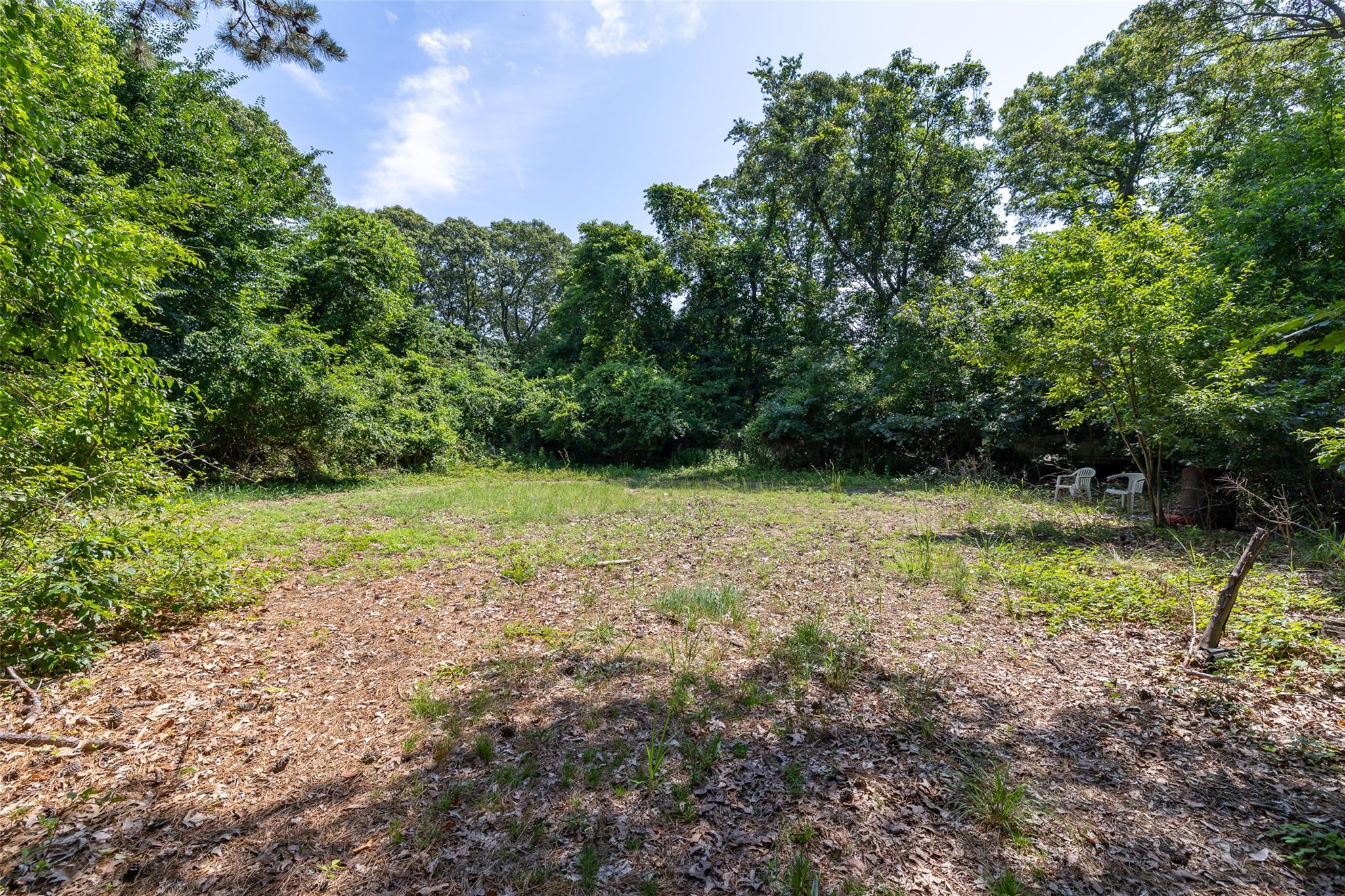 33 North Coleman Road Centereach, NY 11720 - Photo 34 of 40 View of yard with a view of trees