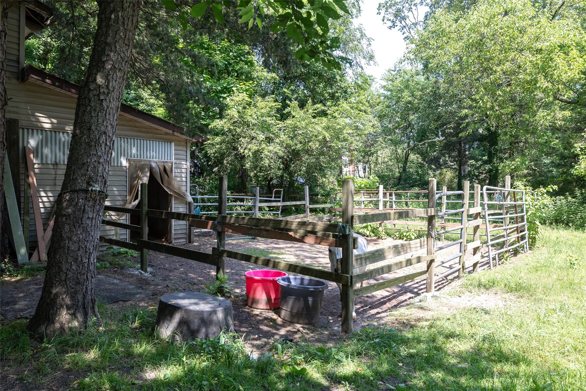 33 North Coleman Road Centereach, NY 11720 - Photo 5 of 40 View of yard