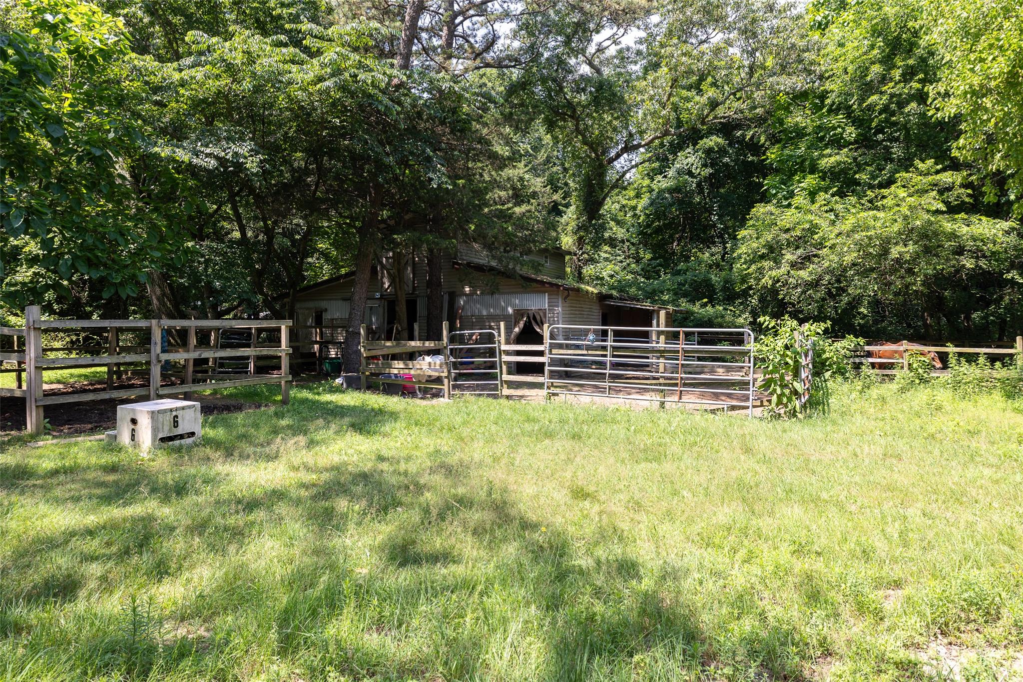 33 North Coleman Road Centereach, NY 11720 - Photo 6 of 40 View of yard featuring an exterior structure and an outdoor structure