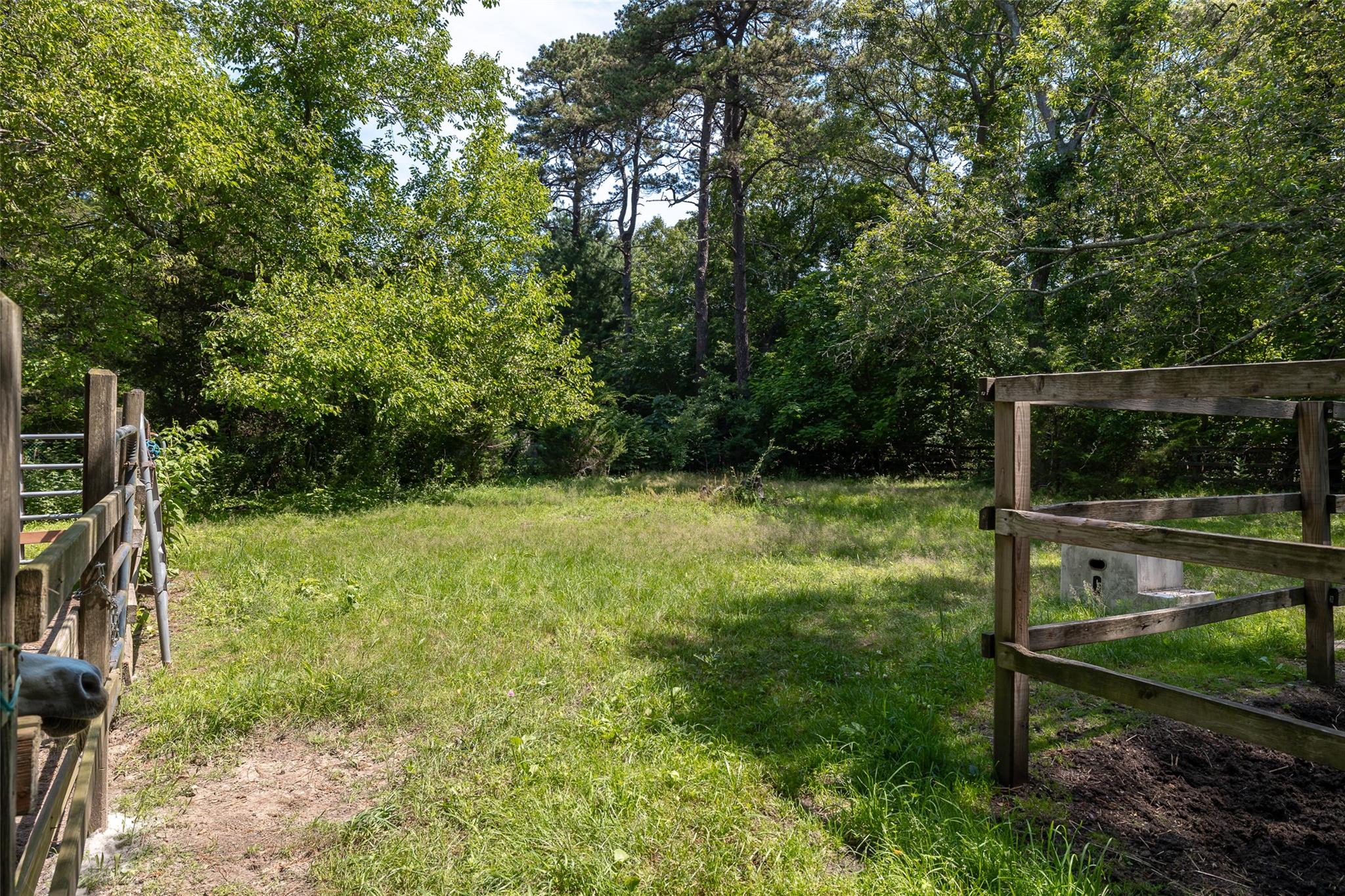 33 North Coleman Road Centereach, NY 11720 - Photo 8 of 40 View of yard