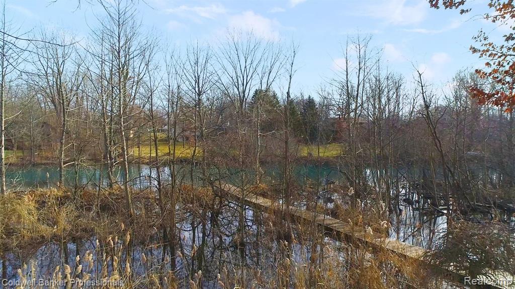 23285 Meridian Road Grosse Ile, MI 48138 - Photo 46 of 53