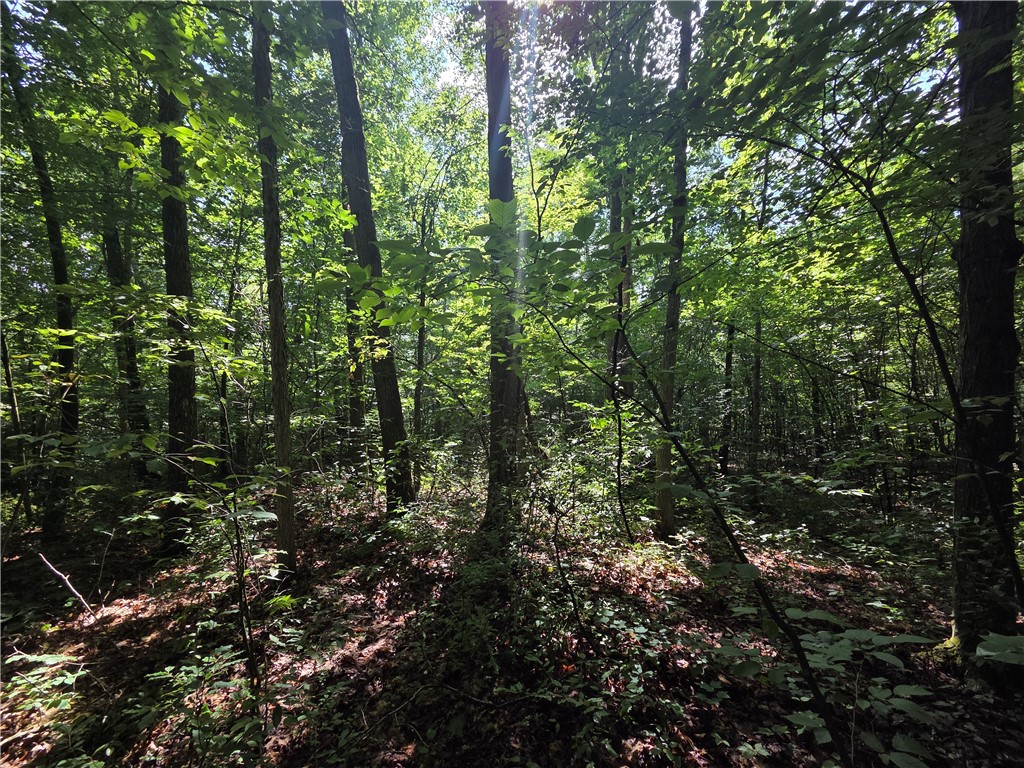 Bunnell Road Waverly, NY 14892 - Photo 24 of 49 Gallery Image 24