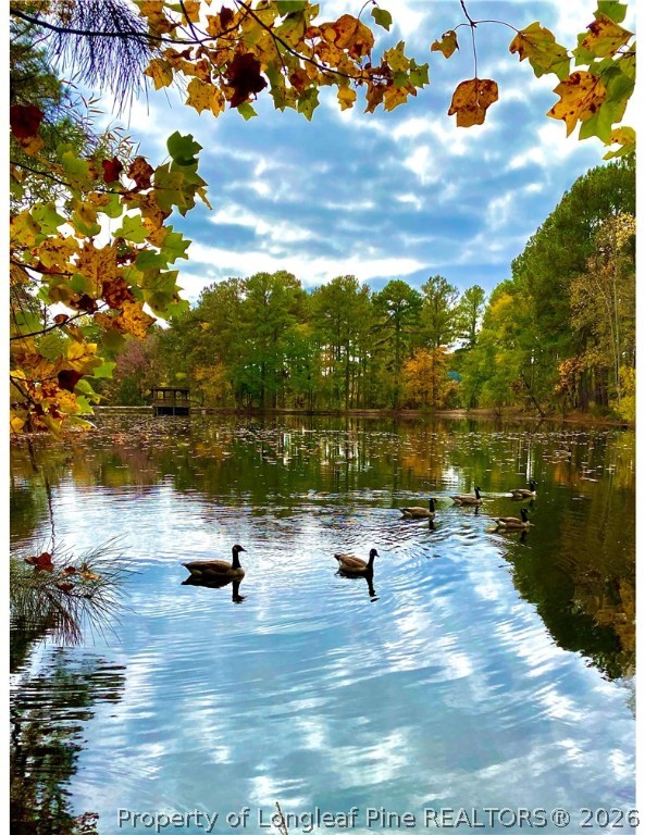 129 Barons Run West Spring Lake, NC 28390 - Photo 33 of 33