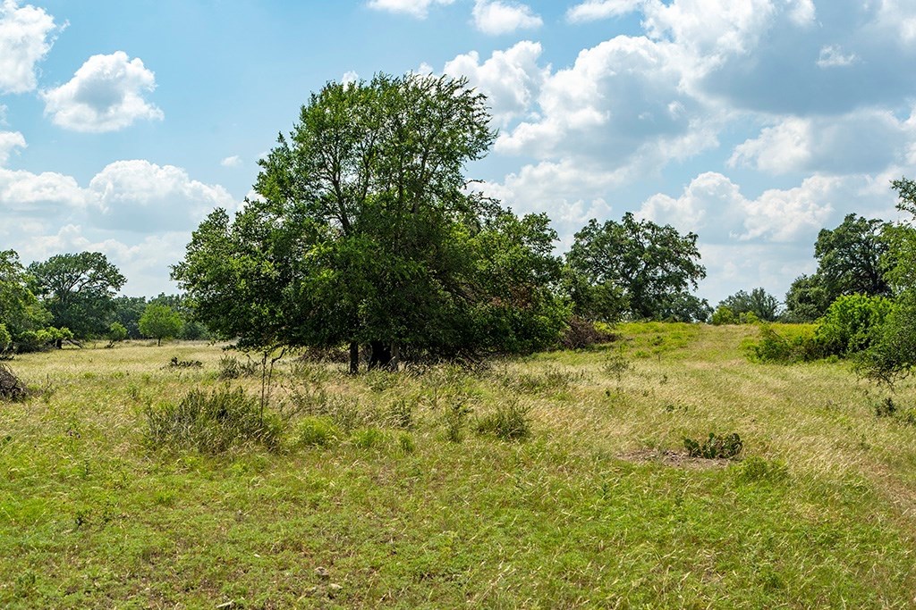 21698 Fm 2093 Harper, TX 78631 - Photo 2 of 7
