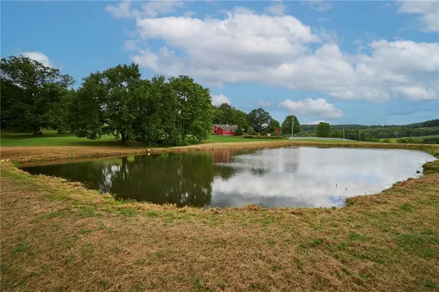 a view of a lake from a yard