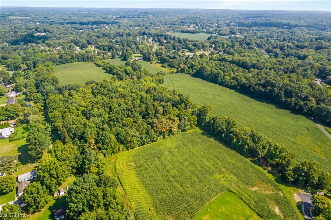 View of bird's eye view
