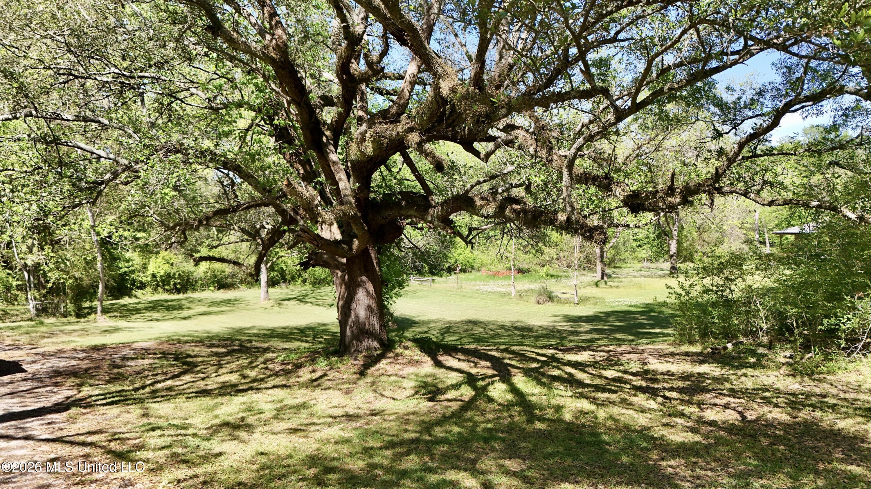 187 Dupree Street Raymond, MS 39154 - Photo 27 of 27 dji_fly_20260408_150954_0858_17756786732