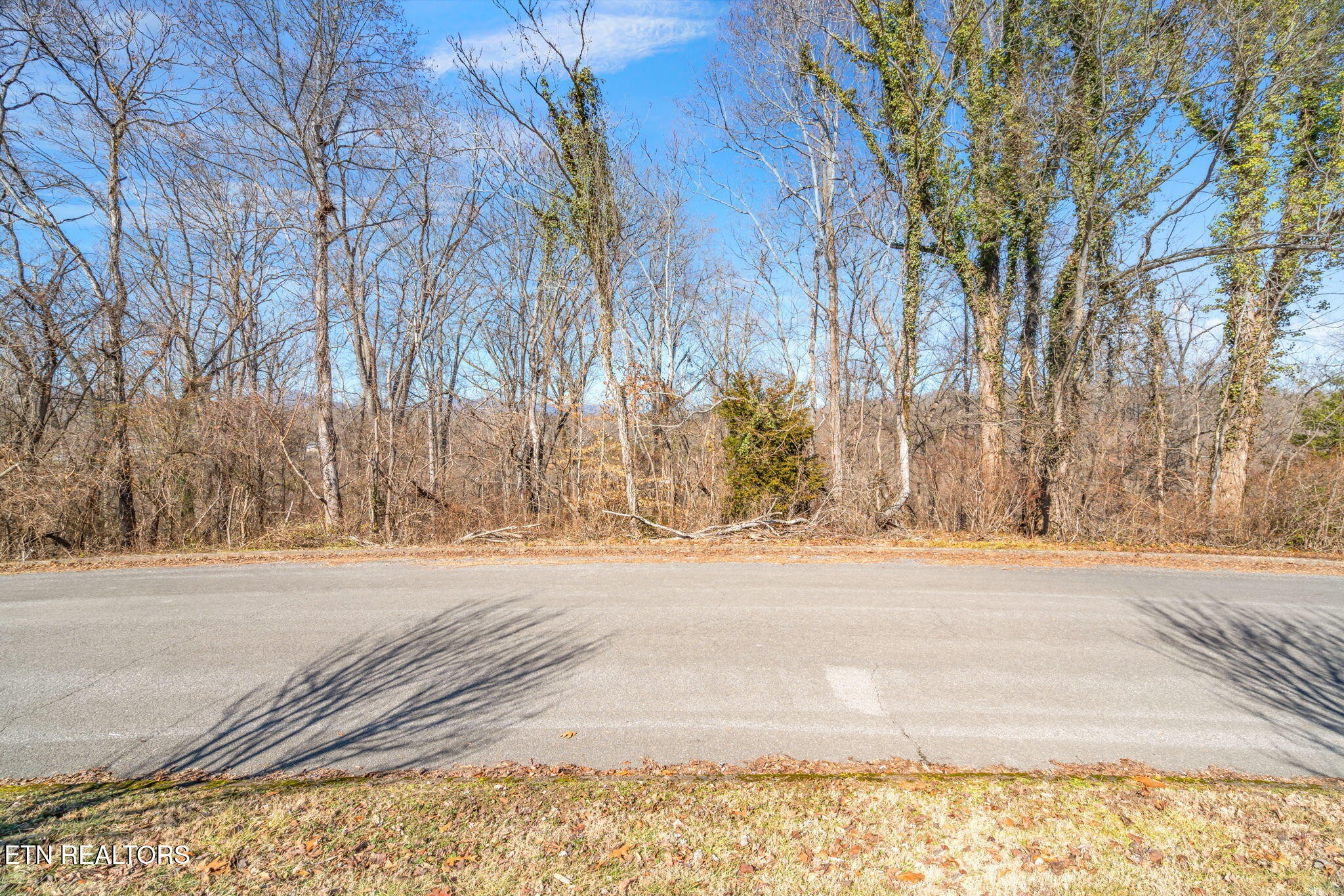 48 Orchard Knob Road Clinton, TN 37716 - Photo 18 of 29 Gallery Image 18