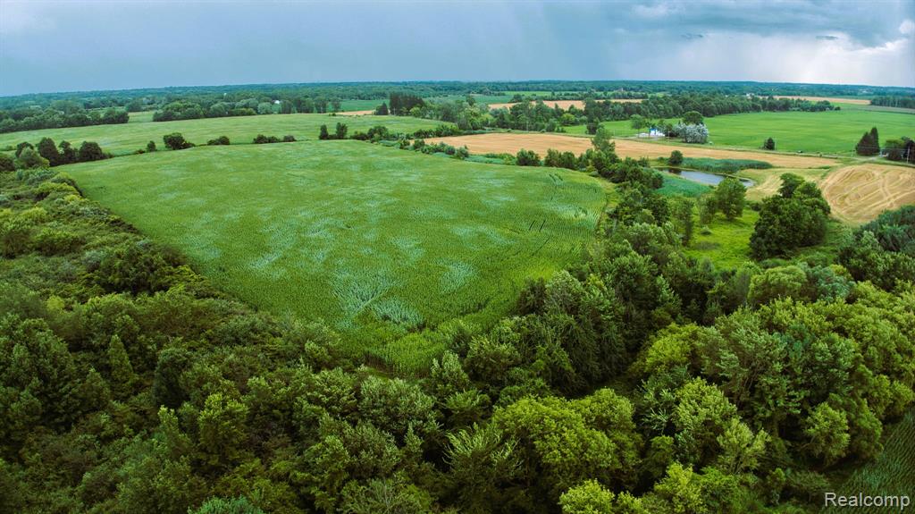 Vl Custer Road Carsonville, MI 48419 - Photo 7 of 16