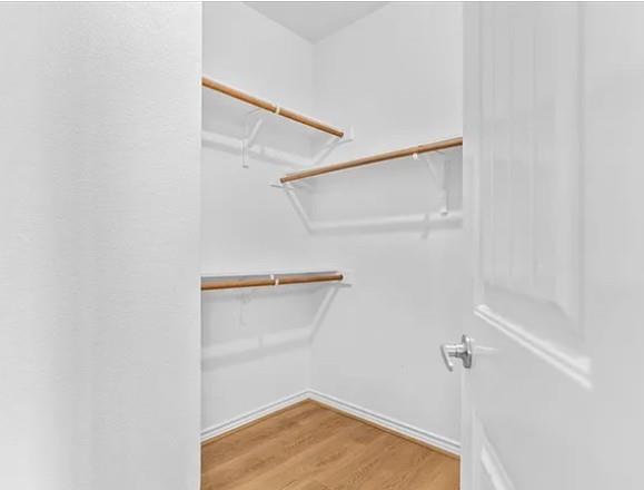 8401 Hitching Trail McKinney, TX 75070 - Photo 9 of 39 Walk in closet with light wood-type flooring