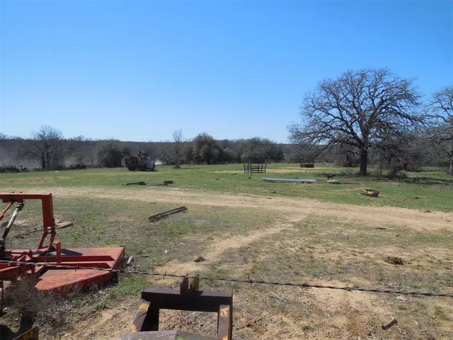 a view of a yard with a tree