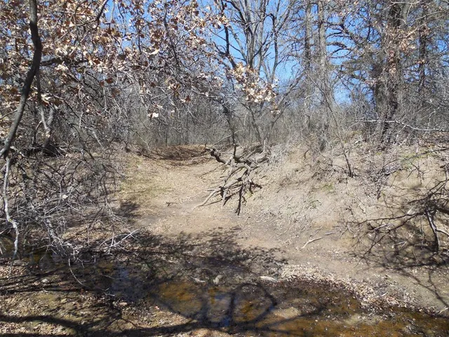 a view of a dry yard with trees in the background