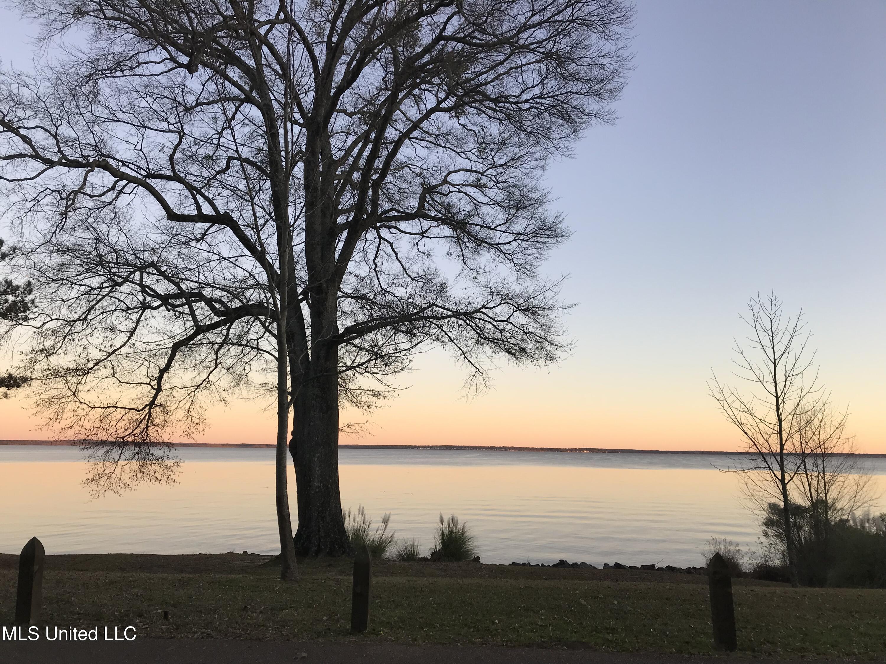 No No Hill Madison, MS 39110 - Photo 2 of 3 IMG_6508