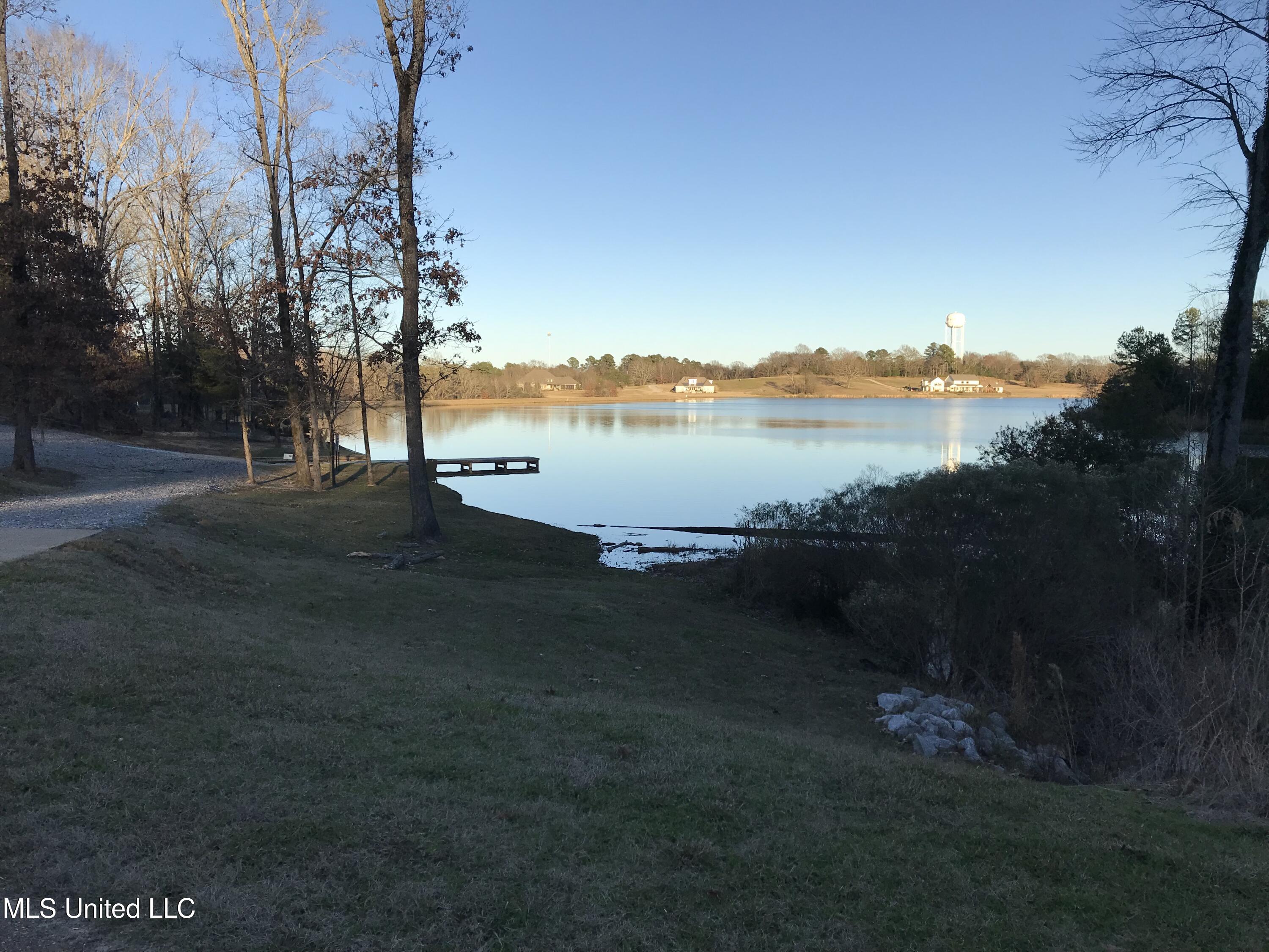 No No Hill Madison, MS 39110 - Photo 3 of 3 IMG_6491