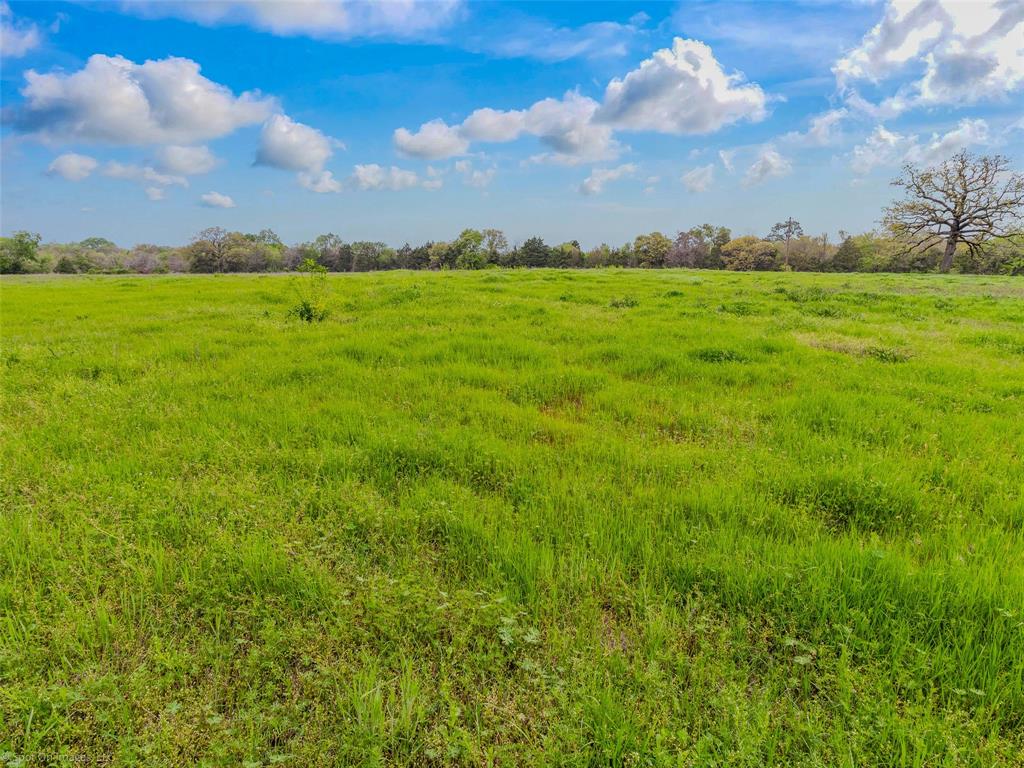 0 Eason Street Terrell, TX 75160 - Photo 15 of 17 View of local wilderness with a rural view