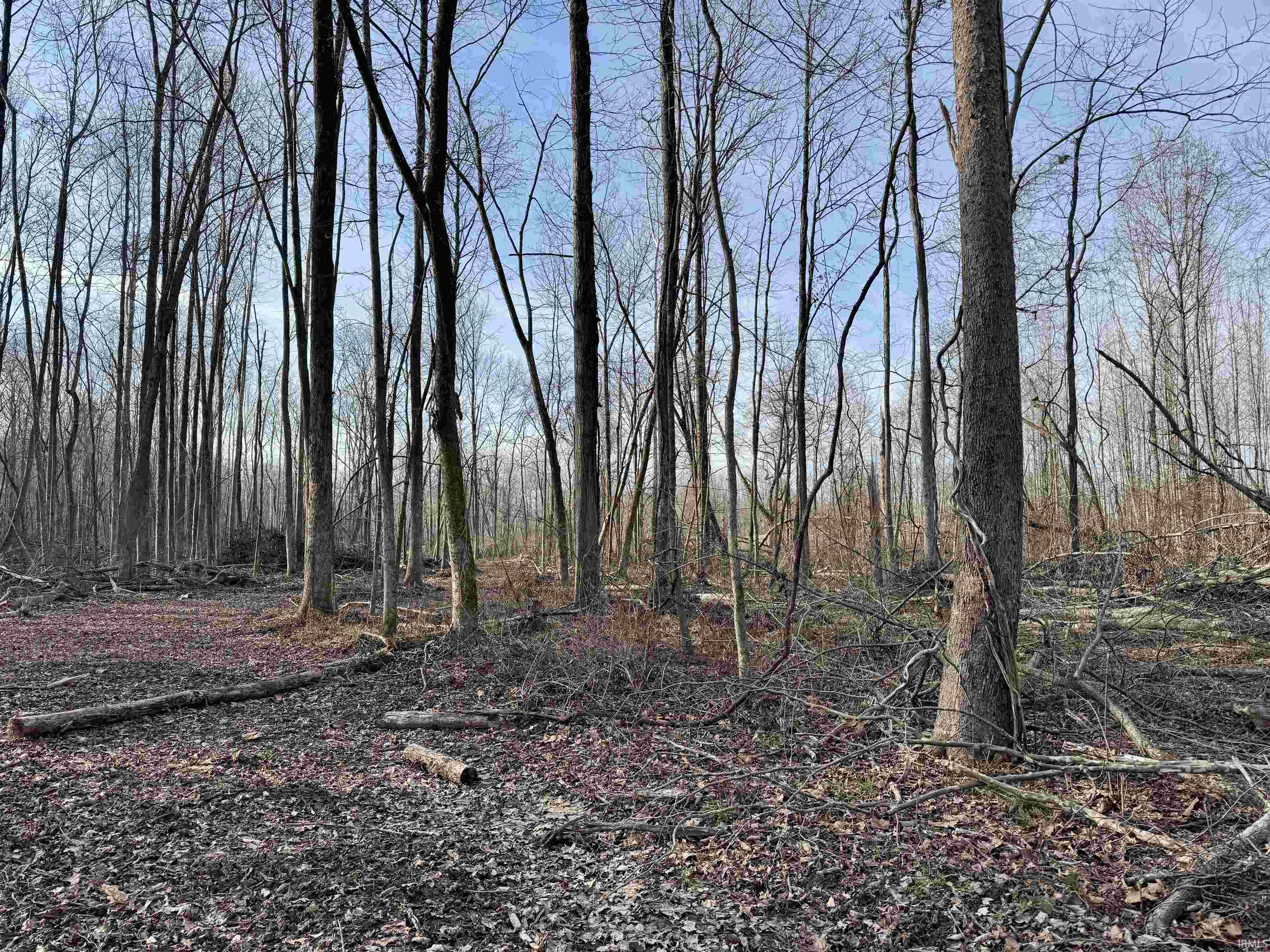 450 South Washington In 47501 Washington, IN 47501 - Photo 15 of 31