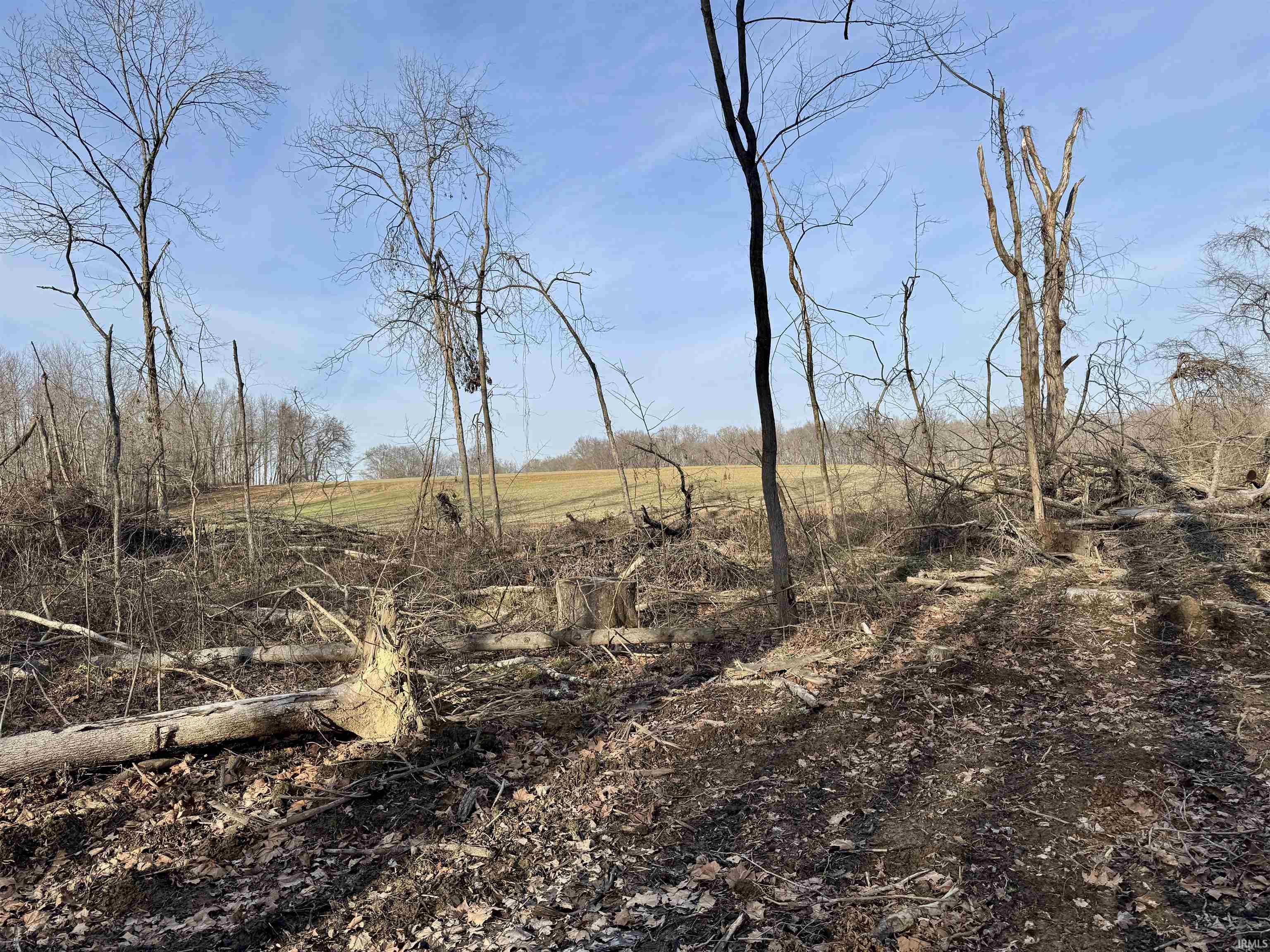 450 South Washington In 47501 Washington, IN 47501 - Photo 18 of 31