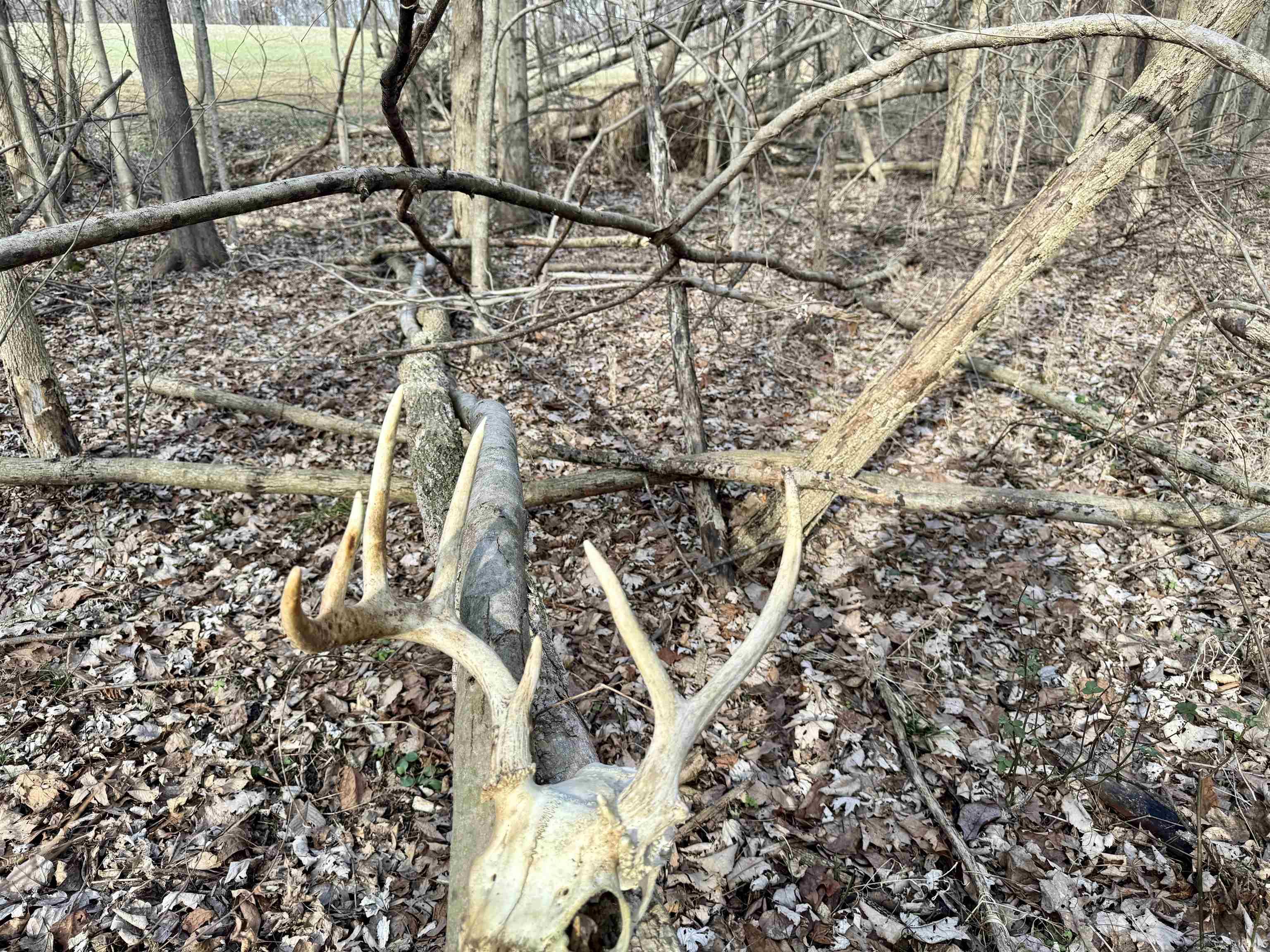 450 South Washington In 47501 Washington, IN 47501 - Photo 19 of 31