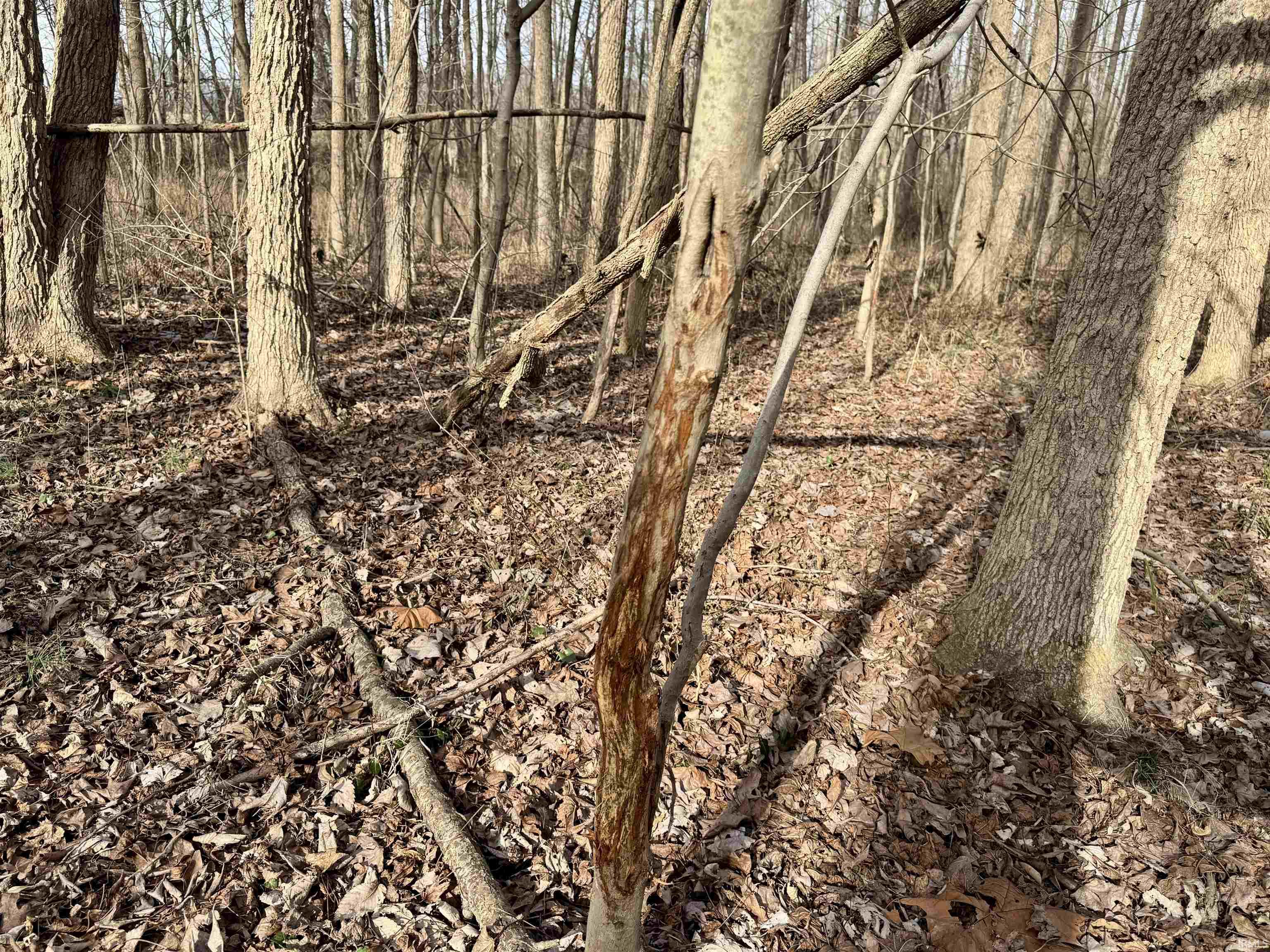 450 South Washington In 47501 Washington, IN 47501 - Photo 20 of 31