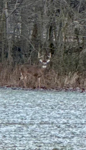 $949,900 | 450 South Washington In 47501, Washington, IN 47501