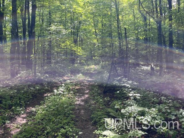 40-acres New DNR Road Crystal Falls, MI 49920 - Photo 3 of 46
