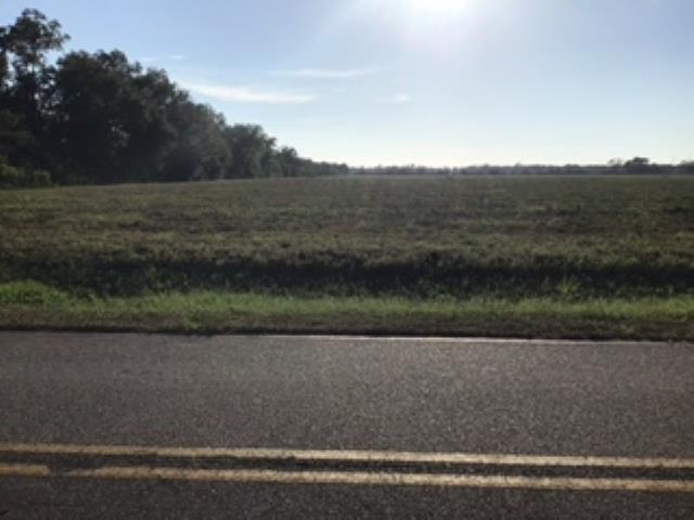 Lot 8 Hamilton Boulevard Foley, AL 36535 - Photo 4 of 5