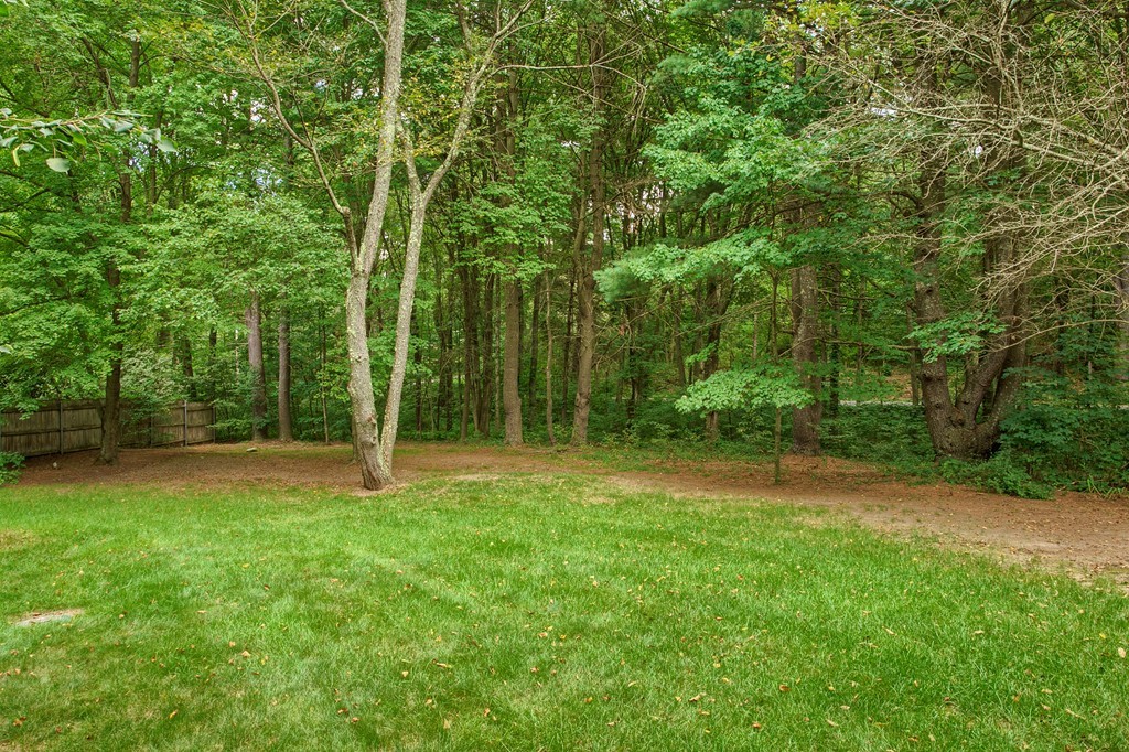 104 Sampson Road Bolton, MA 01740 - Photo 28 of 30 a view of a backyard with a trees