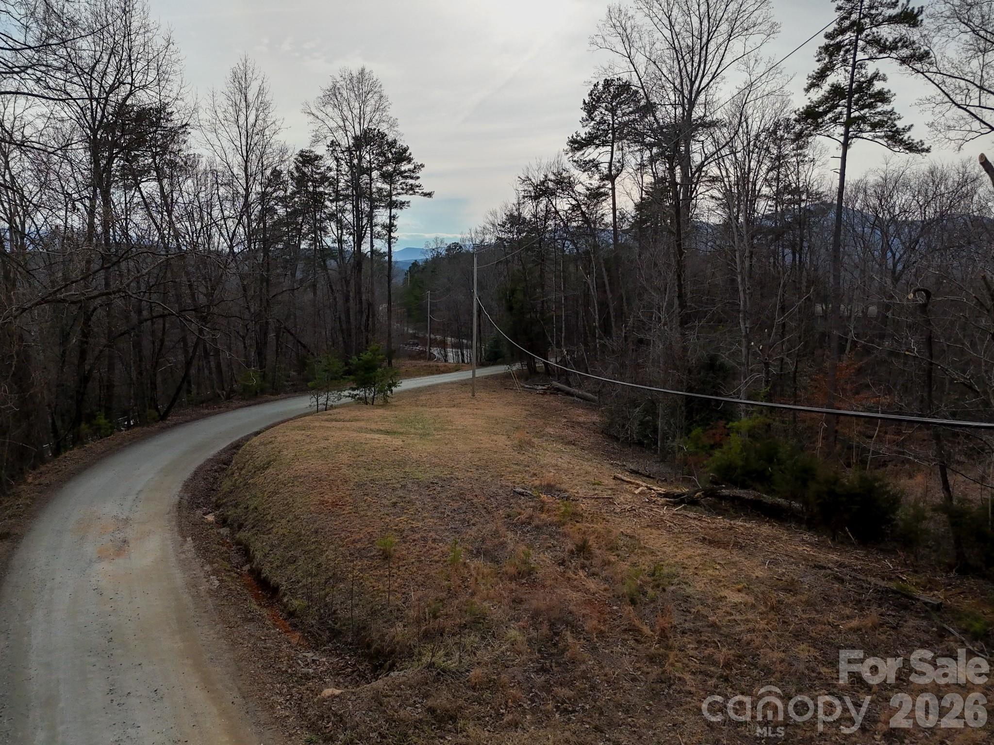 161 Starling Road Lake Lure, NC 28746 - Photo 35 of 35 Gallery Image 35