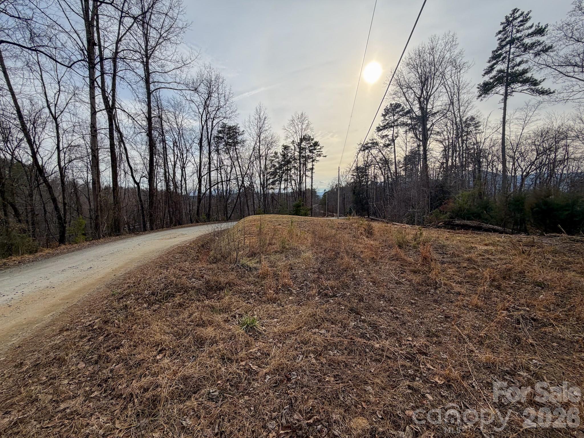 161 Starling Road Lake Lure, NC 28746 - Photo 4 of 35 Gallery Image 4
