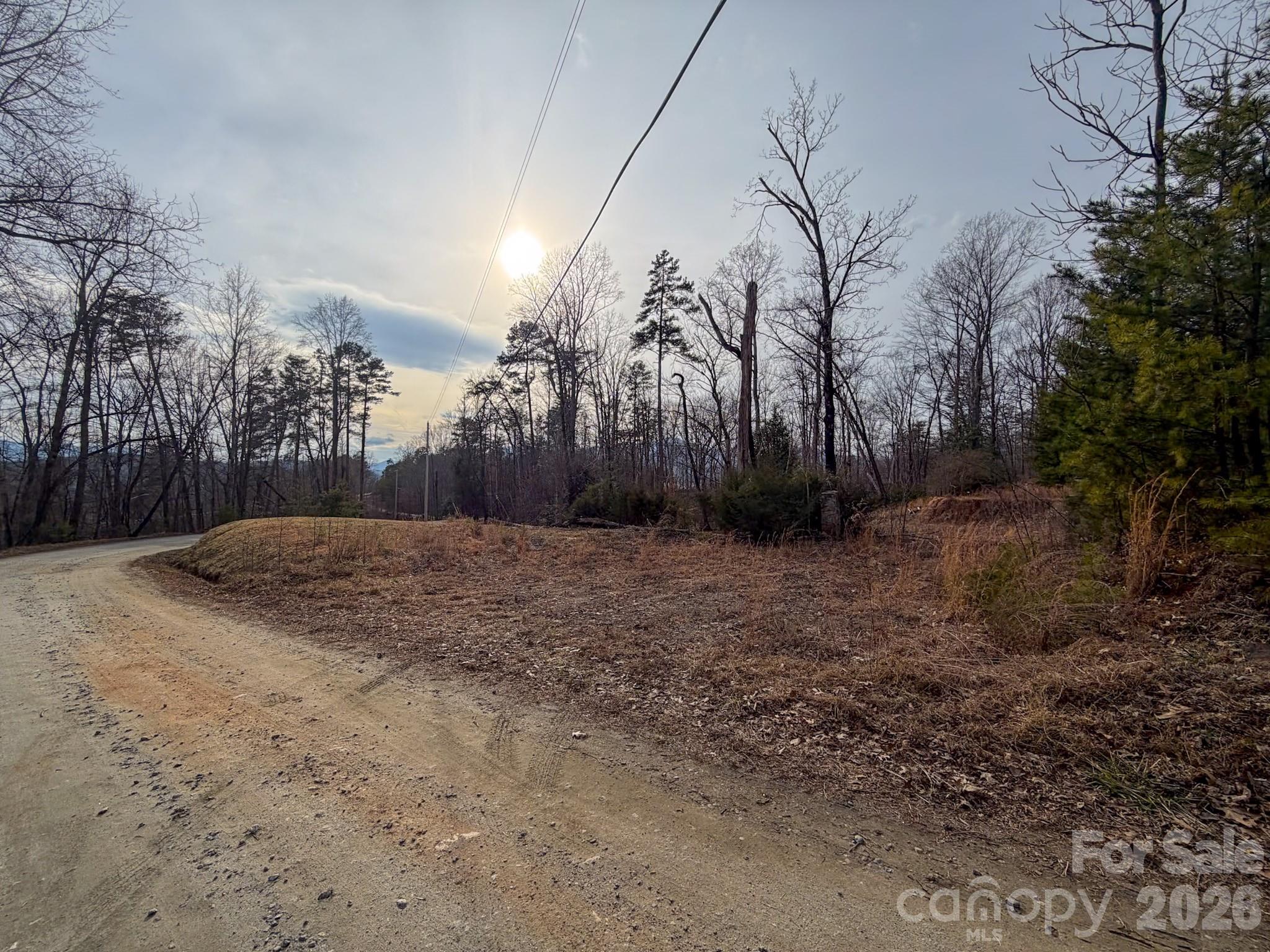 161 Starling Road Lake Lure, NC 28746 - Photo 5 of 35 Gallery Image 5
