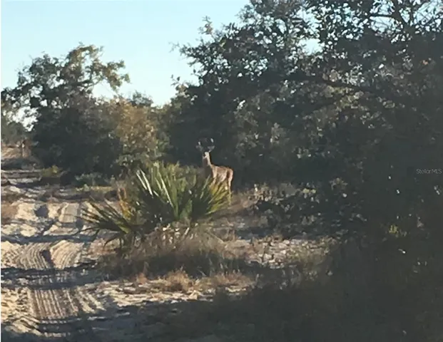 $6,900,000 | 5525 Sparta Road, Sebring, FL 33875