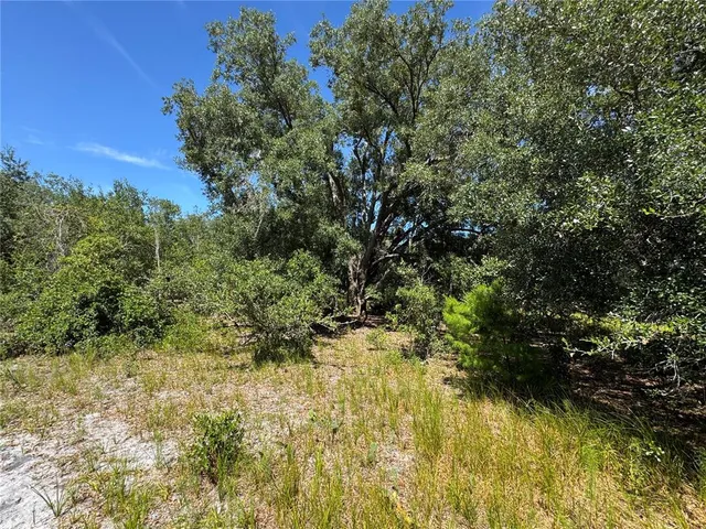 $6,900,000 | 5525 Sparta Road, Sebring, FL 33875