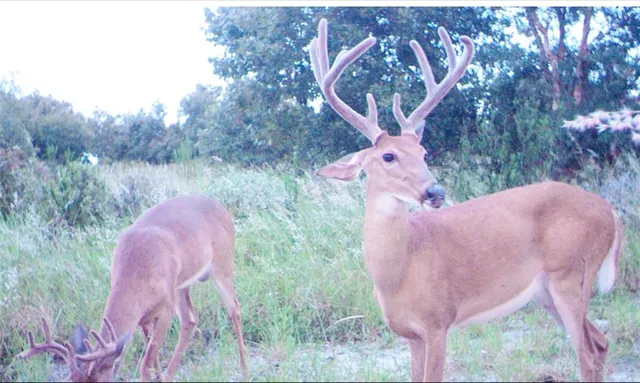 $6,900,000 | 5525 Sparta Road, Sebring, FL 33875