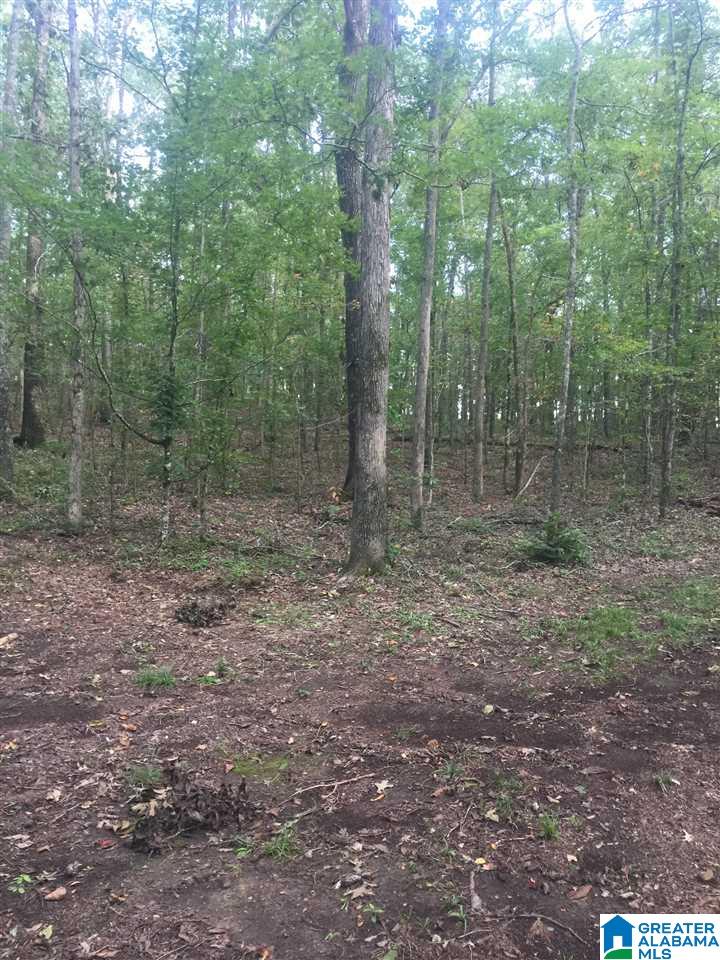 241 Sulphur Springs Road, Unit 9 89 ACRES Lincoln, AL 35096 - Photo 27 of 44