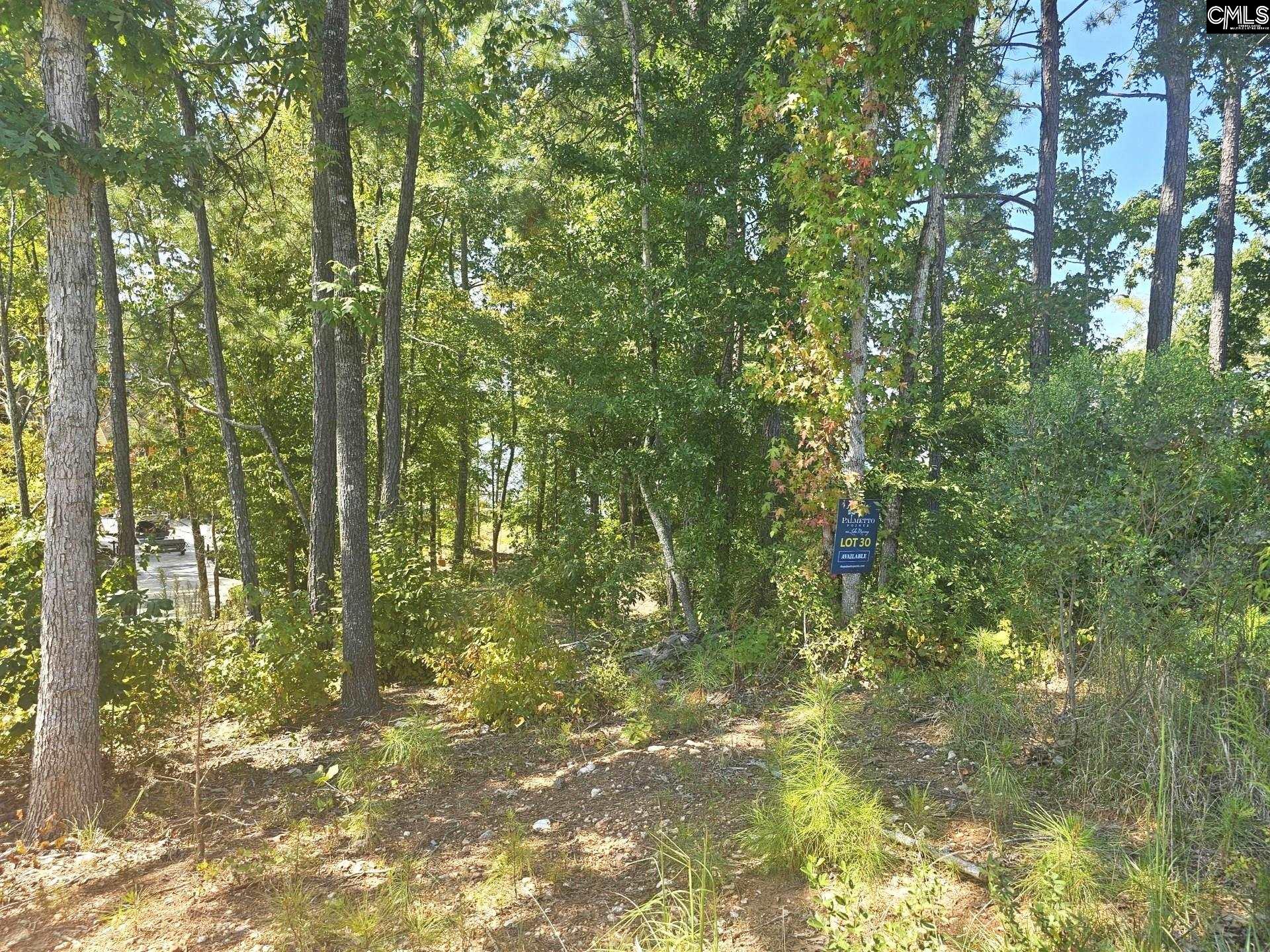 Lot # Longview Drive Prosperity, SC 29127 - Photo 8 of 11