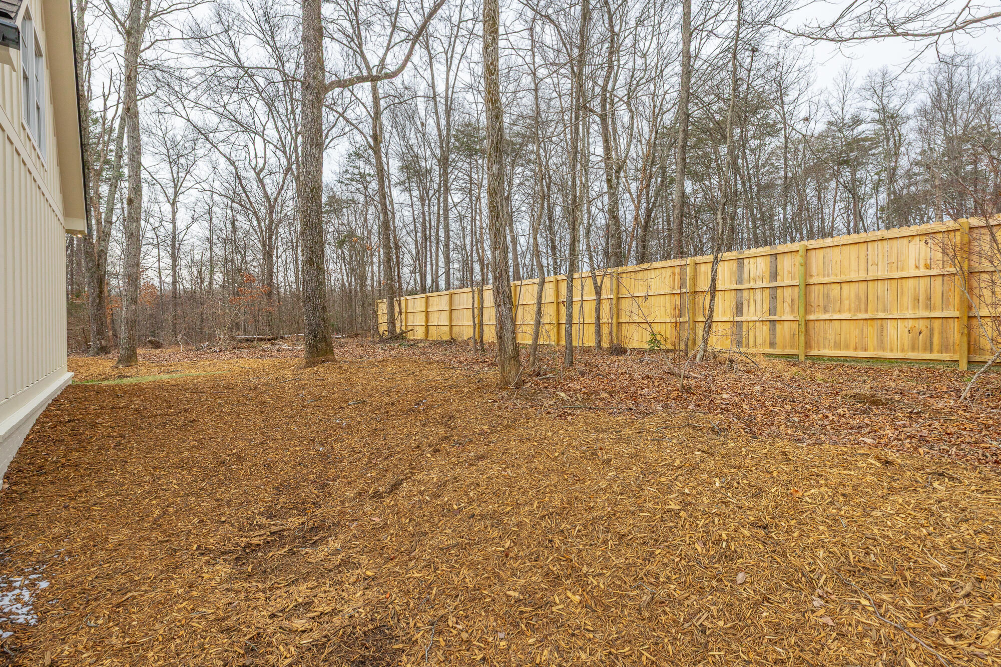 498 Hargis Road Signal Mountain, TN 37377 - Photo 63 of 65 498 Hargis Road HD-100