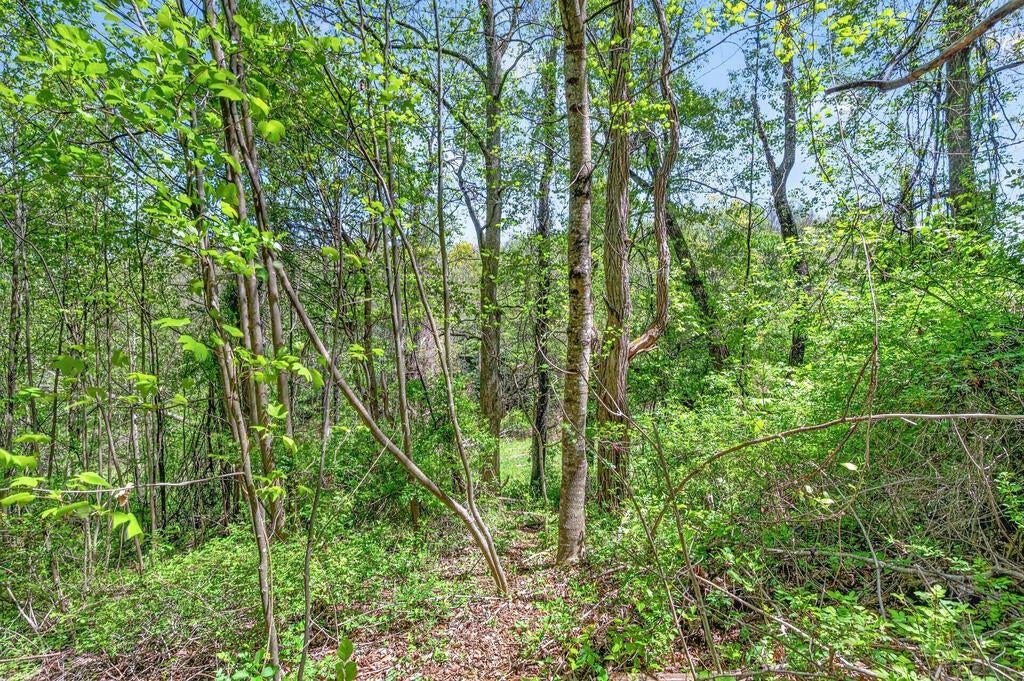 0 Countyline Church Road Southeast Floyd, VA 24091 - Photo 4 of 7 Gallery Image 4