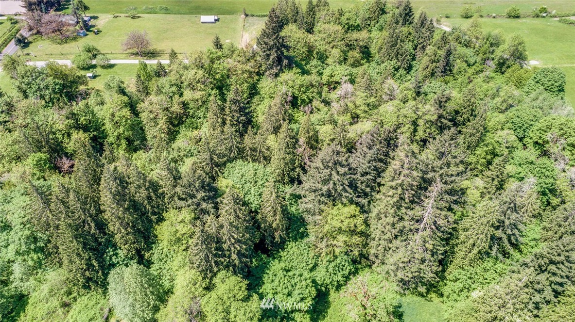 5004 Northwest 199th Street Ridgefield, WA 98642 - Photo 13 of 16 Gallery Image 13
