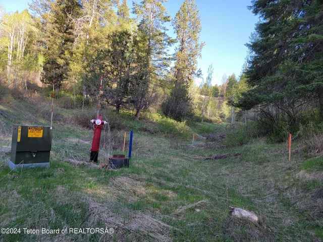 $167,000 | L39-b4 Cutthroat Run, Irwin, ID 83428