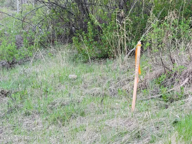 $167,000 | L39-b4 Cutthroat Run, Irwin, ID 83428