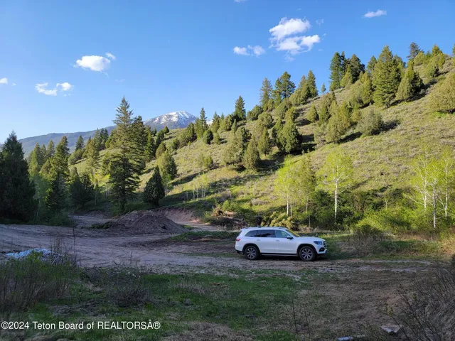 $167,000 | L39-b4 Cutthroat Run, Irwin, ID 83428