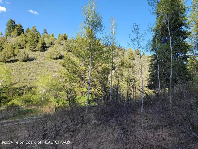 $167,000 | L39-b4 Cutthroat Run, Irwin, ID 83428