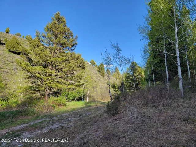 $167,000 | L39-b4 Cutthroat Run, Irwin, ID 83428