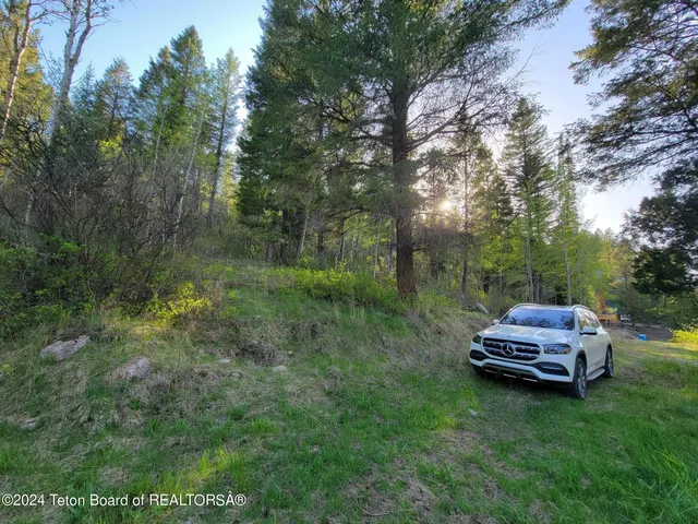 $167,000 | L39-b4 Cutthroat Run, Irwin, ID 83428