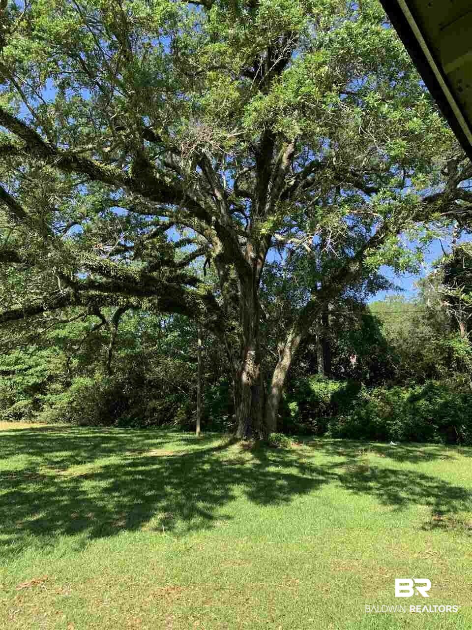 17071 County Road 52 Silverhill, AL 36576 - Photo 15 of 44 view from BR3